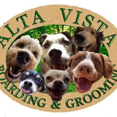 altavistapetboarding.com's icon