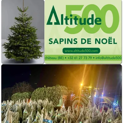 altitude500.com's icon