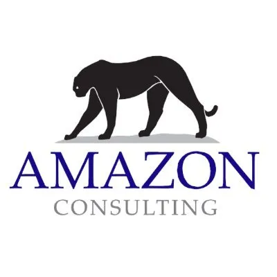 amazonconsulting.eu's icon