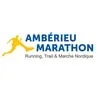 amberieumarathon.fr's icon