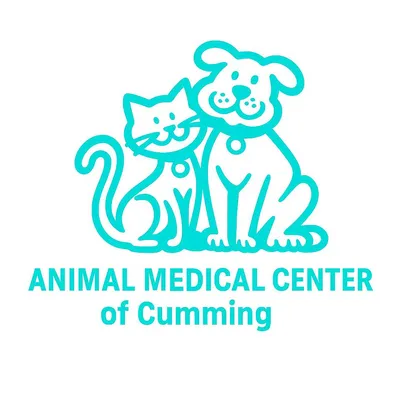 amcofcumming.com's icon