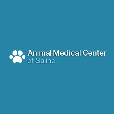 amcsaline.com's icon
