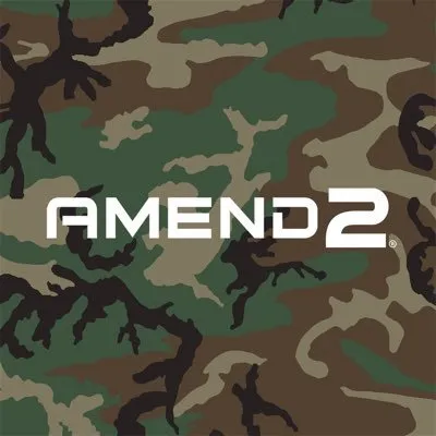 Amend2 logo