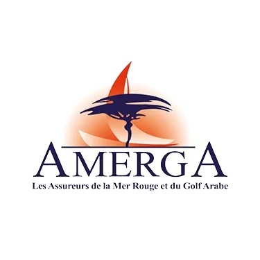 amerga.com's icon