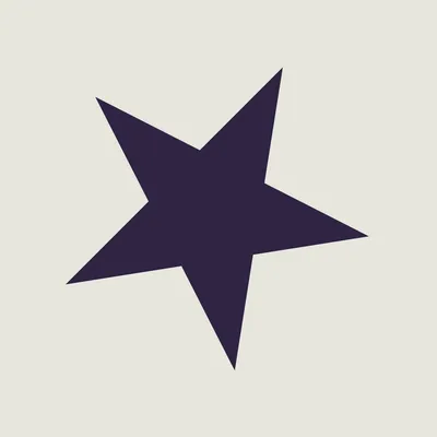 americanleatherco.com's icon