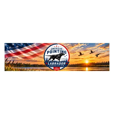 americanpointinglab.com's icon