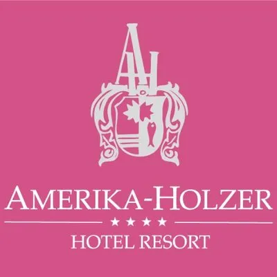 amerika-holzer.at's icon