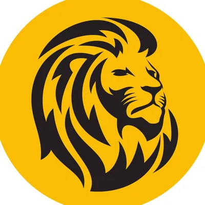 amesan.fi's icon