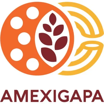 amexigapa.com's icon