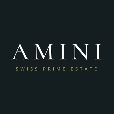 amini-spe.ch's icon
