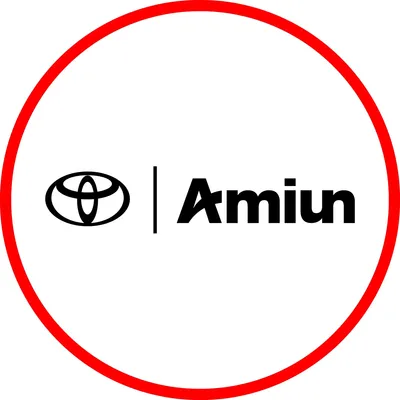 amiun.com.ar's icon