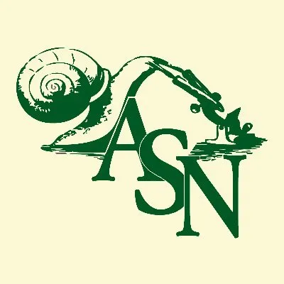 amnat.org's icon