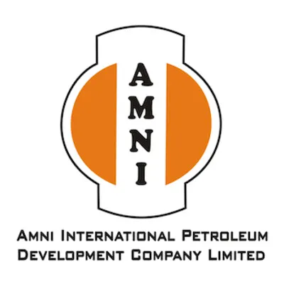 amni.com's icon