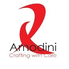 amodinisystems.com's icon