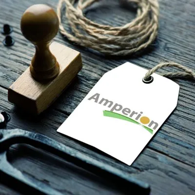 amperion.co.za's icon
