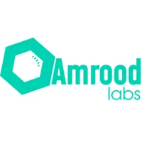 amroodlabs.com's icon
