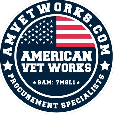 amvetworks.com's icon