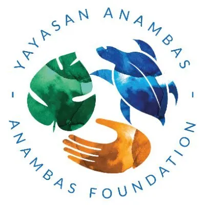 anambasfoundation.org's icon