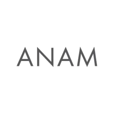 anamdesignstudio.com's icon
