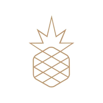 ananasdc.com's icon