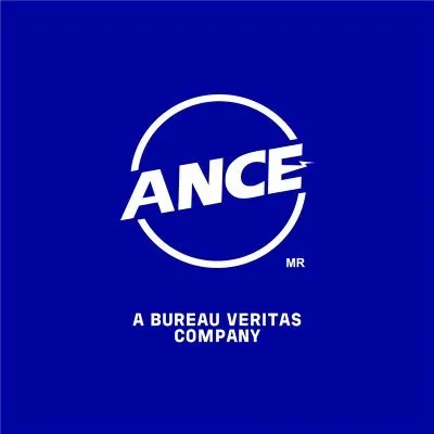 ance.org.mx's icon