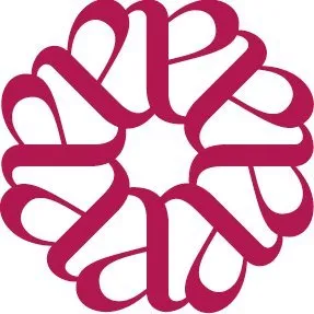 ancei.com's icon
