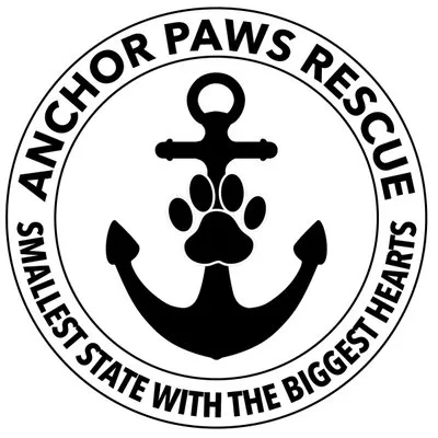 anchorpawsrescue.org's icon