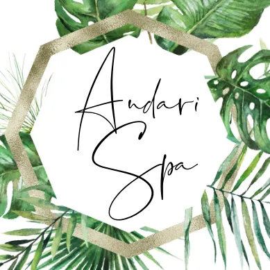andarispa.com's icon