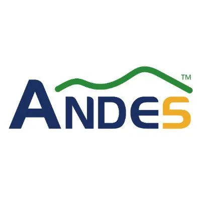andestech.com's icon