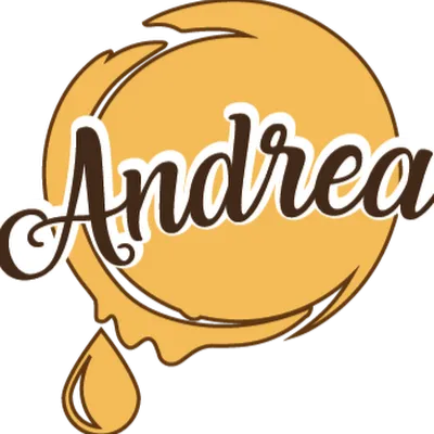 andreartesanal.com's icon