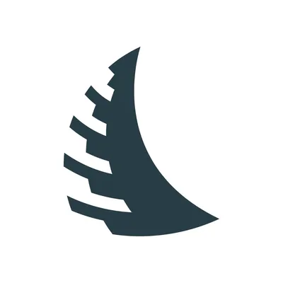 angelbird.com's icon