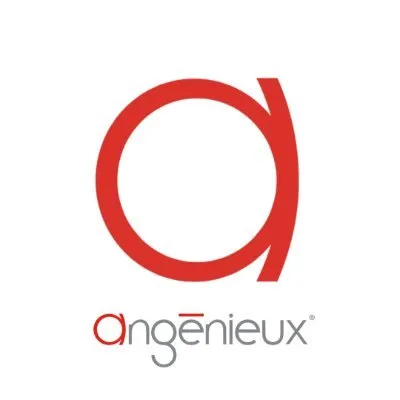 angenieux.com's icon