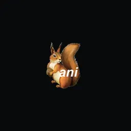 Anibelka's icon