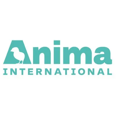 animainternational.org's icon