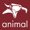 AB  Avatar