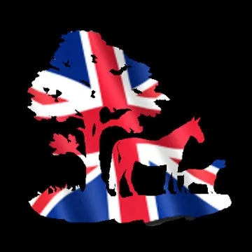 animalbrackets.co.uk's icon