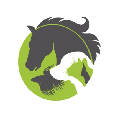 animalerievaldor.com's icon
