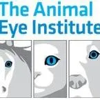 animaleyeinstitute.com's icon