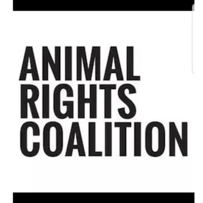 animalrightscoalition.com's icon