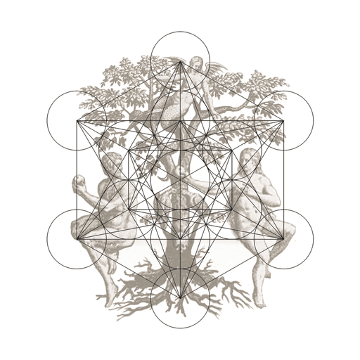 Anima Mundi Am
