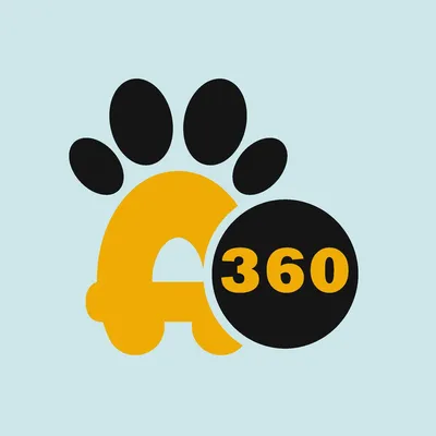 animo360.com's icon