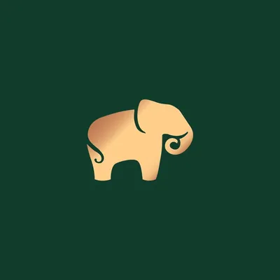 anitadongre.com's icon