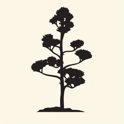 ankakrystyniak.com's icon