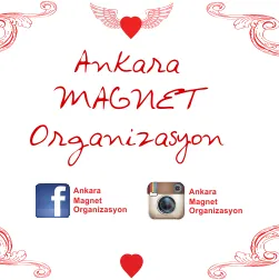 ankarapleksiayna.com's icon