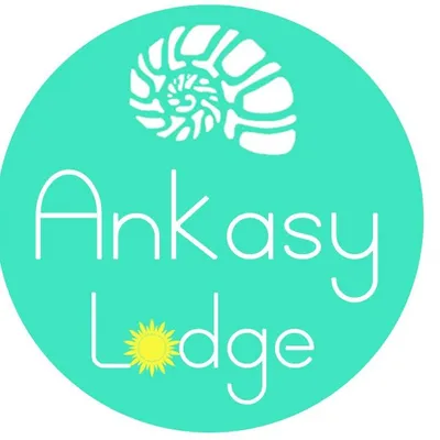 ankasy.com's icon