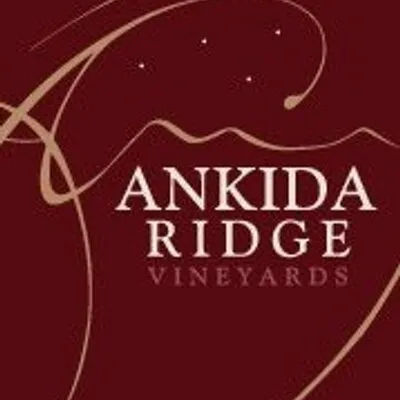ankidaridge.com's icon
