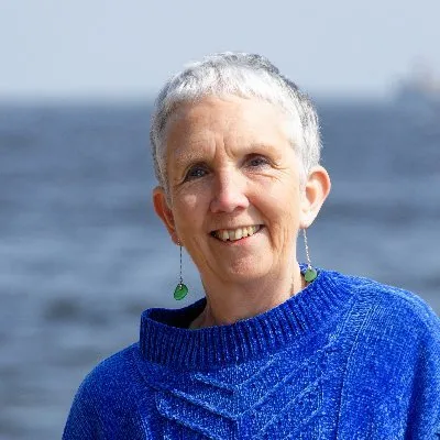 anncleeves.com's icon