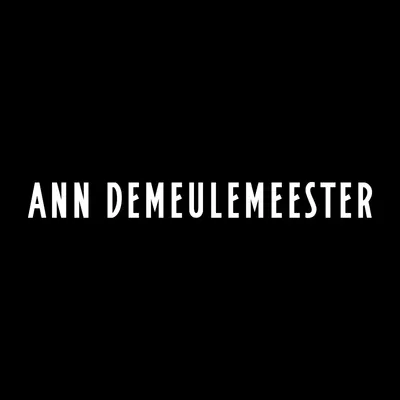 anndemeulemeester.com's icon
