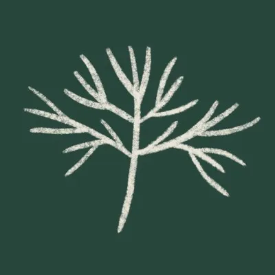 annettebaravin.com's icon