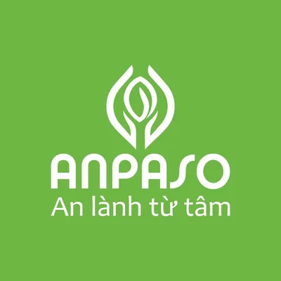anpaso.com.vn's icon